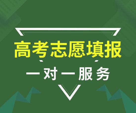 金未来教育软件开发公司_报考通